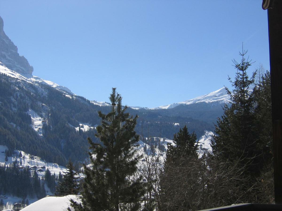Casa Almis, Grindelwald Apartment Ngoại thất bức ảnh