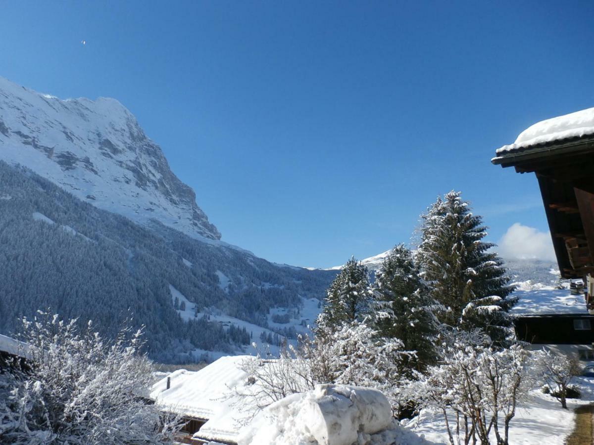 Casa Almis, Grindelwald Apartment Ngoại thất bức ảnh