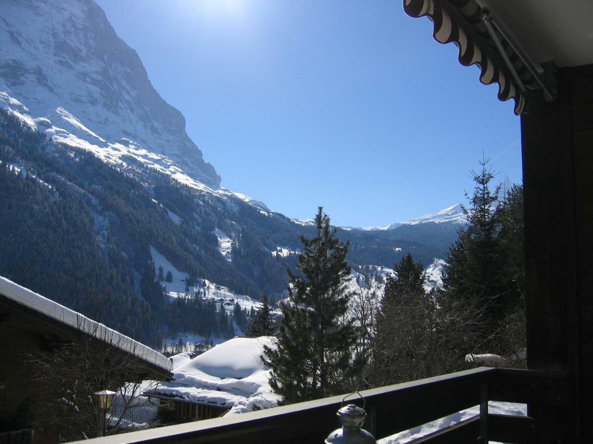 Casa Almis, Grindelwald Apartment Ngoại thất bức ảnh