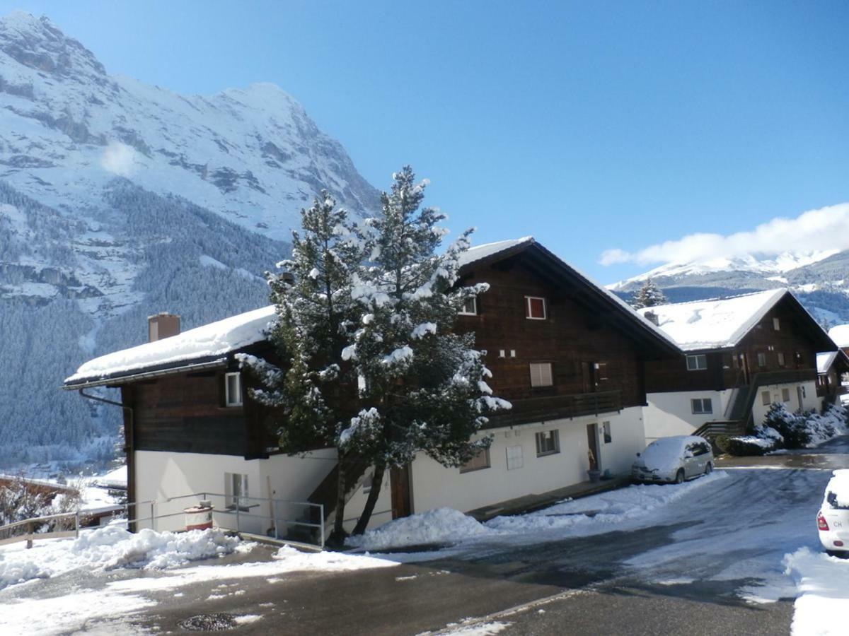 Casa Almis, Grindelwald Apartment Ngoại thất bức ảnh